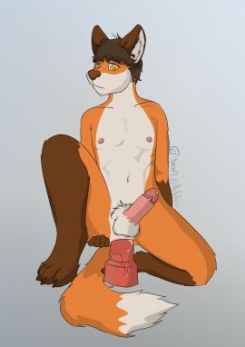 Image: 1073804