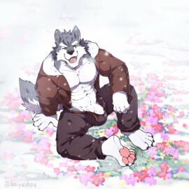 Image: 3715047