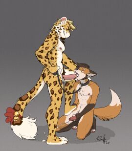 Image: 11068038