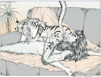Image: 3101975