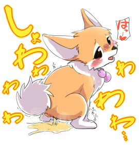 Image: 2229143