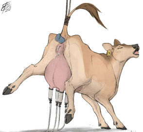 Image: 3977561