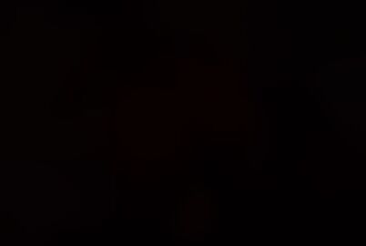 Image: 13114404
