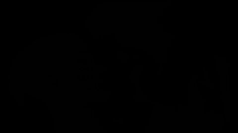 Image: 13106313