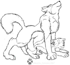 Image: 1877811
