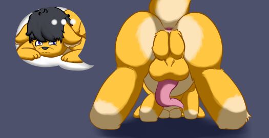 Image: 5552540