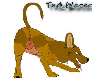 Image: 978091