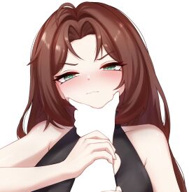 Image: 12730801
