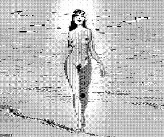 Image: 3695498