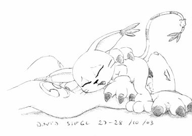 Image: 3117186