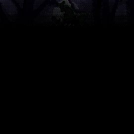 Image: 7901626