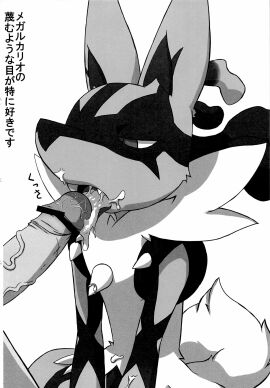 Image: 782502