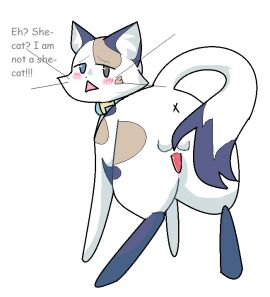 Image: 3242656