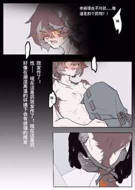 Image: 5896328