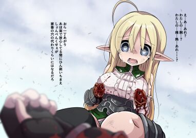 Image: 6295654