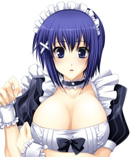 Image: 9635276