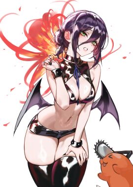 Image: 13210135