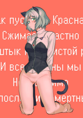 Image: 11856137