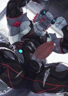 Image: 11705203