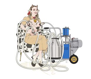 Image: 11562193