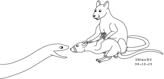 Image: 12907137