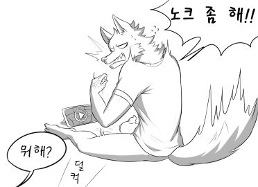 Image: 7664088