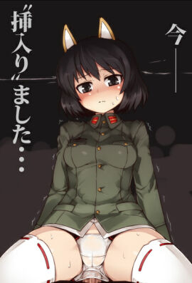 Image: 3176040