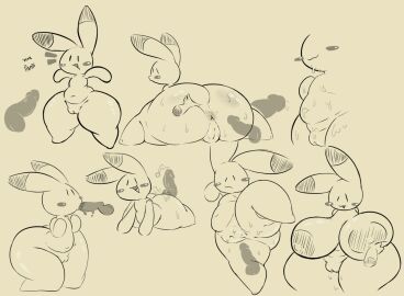 Image: 8796975