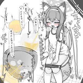 Image: 12536787