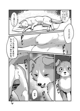 Image: 11628392
