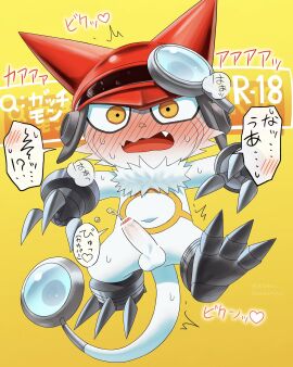 Image: 5434579