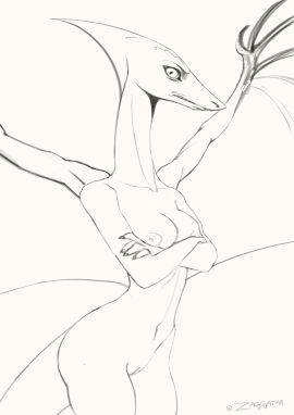 Image: 1112457