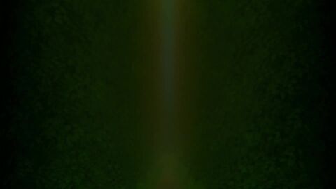 Image: 6896854