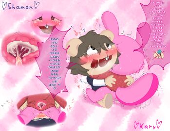 Image: 4241426