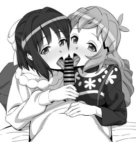 Image: 11809002