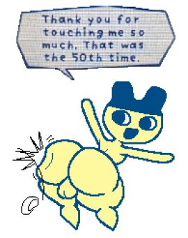 Image: 11164628