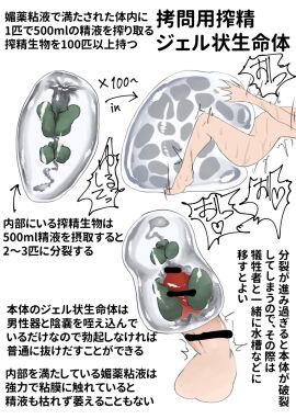 Image: 8992397