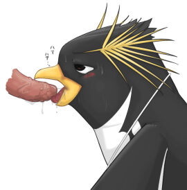 Image: 3028204