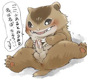 Image: 9641647
