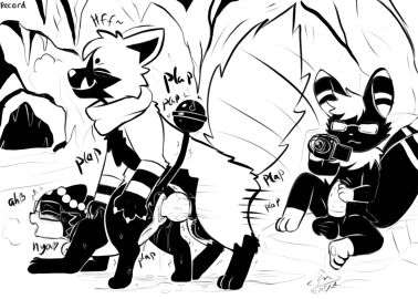 Image: 10708910