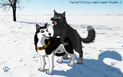 Image: 3189200