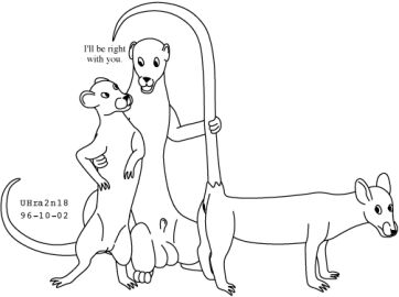 Image: 13012431