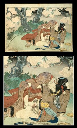 Image: 19149