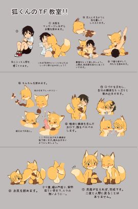 Image: 5818778