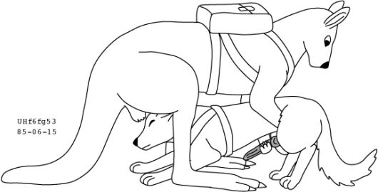 Image: 13015405