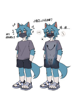 Image: 11341110