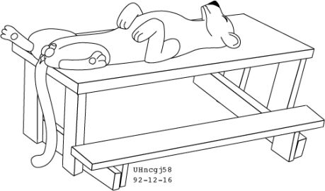 Image: 13014764