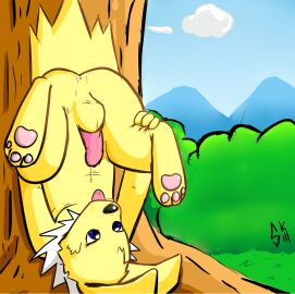 Image: 304814