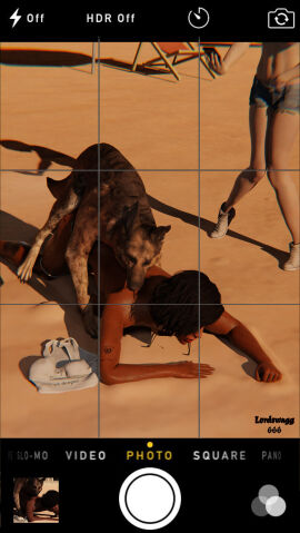 Image: 12108552