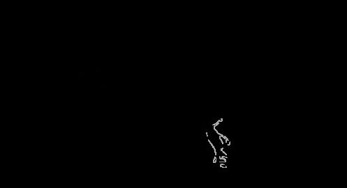 Image: 2601821